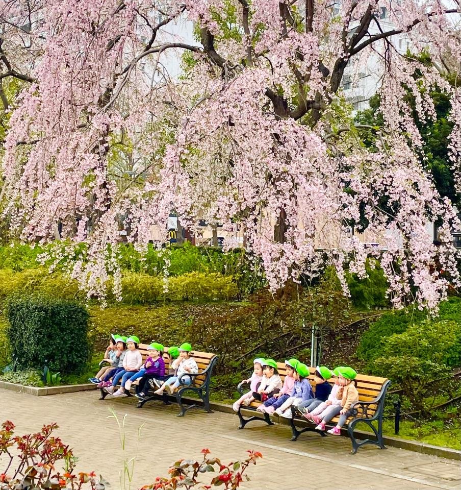 山下公園の春